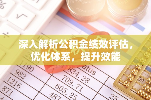 尼勒克深入解析公积金绩效评估，优化体系，提升效能