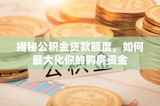 尼勒克揭秘公积金贷款额度，如何最大化你的购房资金
