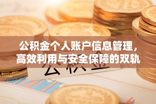尼勒克公积金个人账户信息管理，高效利用与安全保障的双轨并行