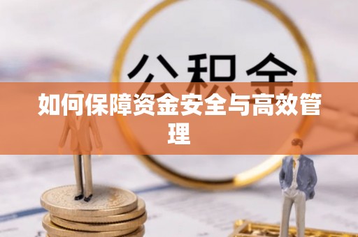 尼勒克如何保障资金安全与高效管理