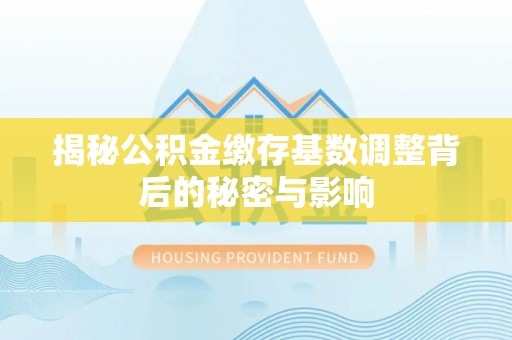 尼勒克揭秘公积金缴存基数调整背后的秘密与影响