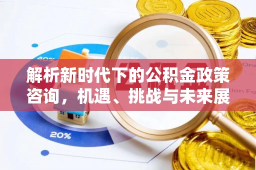 尼勒克解析新时代下的公积金政策咨询，机遇、挑战与未来展望