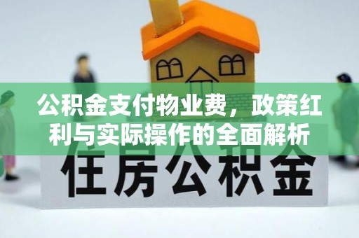 尼勒克公积金支付物业费，政策红利与实际操作的全面解析