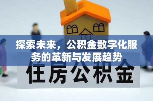尼勒克探索未来，公积金数字化服务的革新与发展趋势