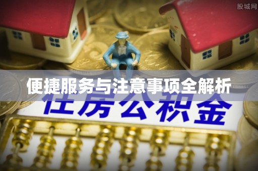尼勒克便捷服务与注意事项全解析