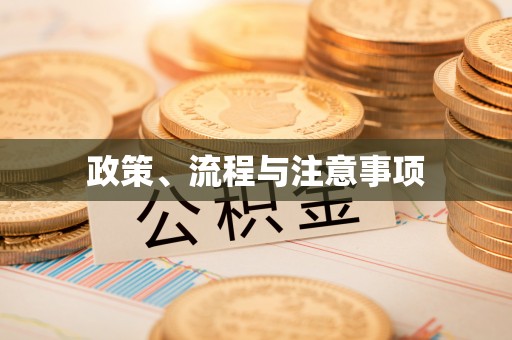 尼勒克政策、流程与注意事项