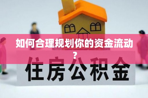 尼勒克如何合理规划你的资金流动？
