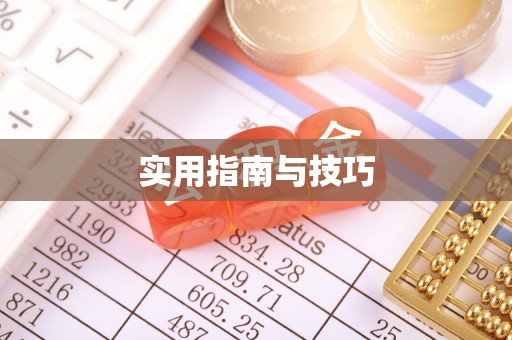 尼勒克实用指南与技巧