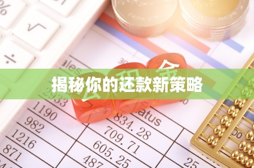 尼勒克揭秘你的还款新策略