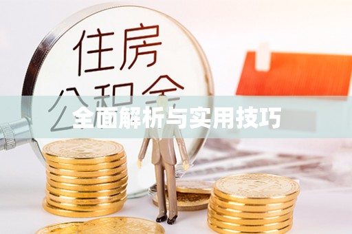 尼勒克全面解析与实用技巧