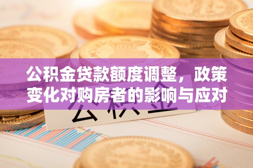 尼勒克公积金贷款额度调整，政策变化对购房者的影响与应对策略