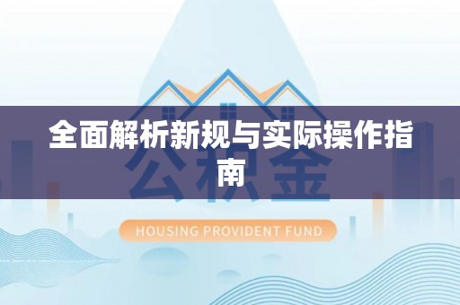 尼勒克全面解析新规与实际操作指南