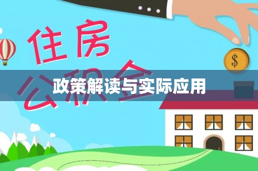 尼勒克政策解读与实际应用