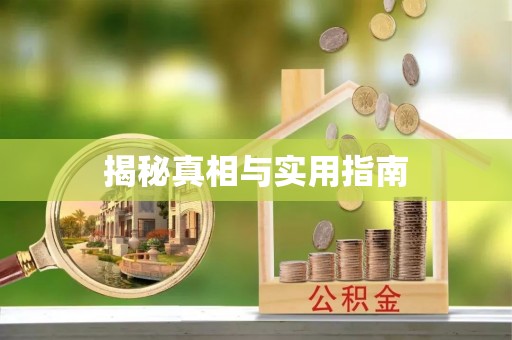尼勒克揭秘真相与实用指南