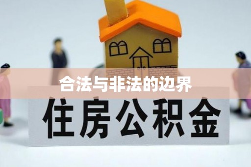 尼勒克合法与非法的边界