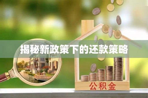 尼勒克揭秘新政策下的还款策略