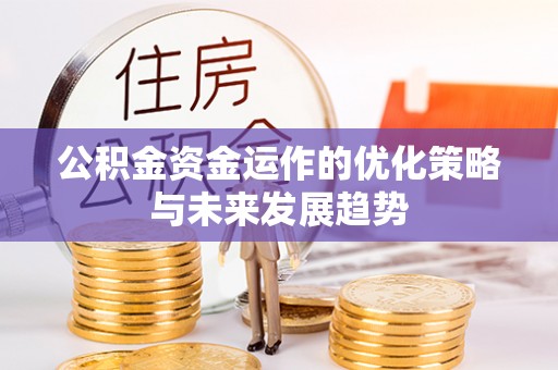 尼勒克公积金资金运作的优化策略与未来发展趋势