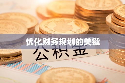 尼勒克优化财务规划的关键