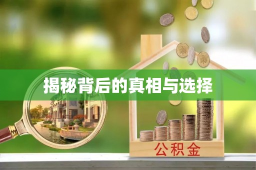 尼勒克揭秘背后的真相与选择
