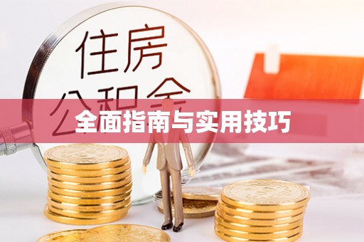 尼勒克全面指南与实用技巧