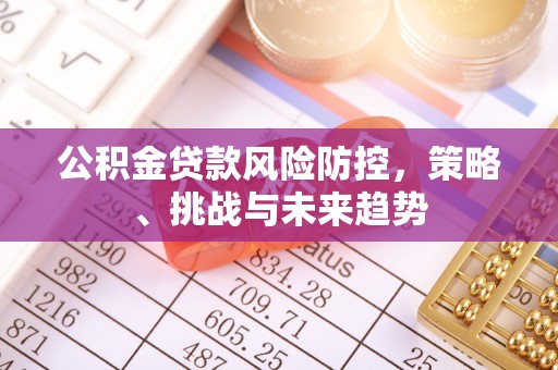 尼勒克公积金贷款风险防控，策略、挑战与未来趋势