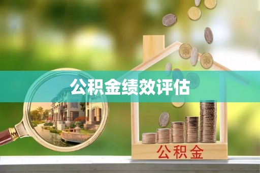 尼勒克公积金绩效评估