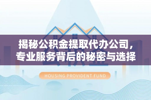 尼勒克揭秘公积金提取代办公司，专业服务背后的秘密与选择指南