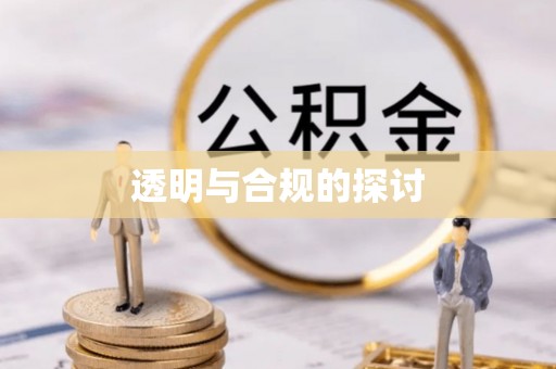 尼勒克透明与合规的探讨