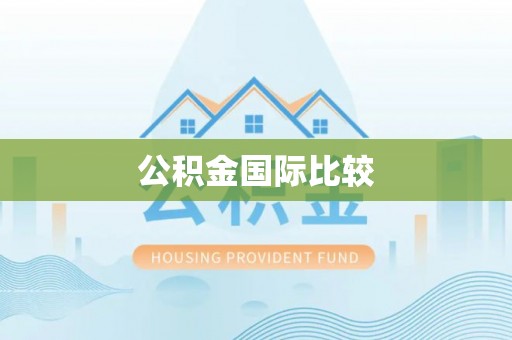 尼勒克公积金国际比较