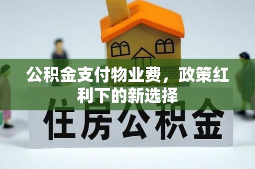 尼勒克公积金支付物业费，政策红利下的新选择