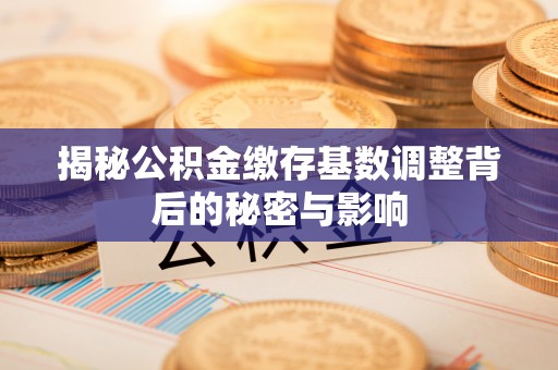 尼勒克揭秘公积金缴存基数调整背后的秘密与影响