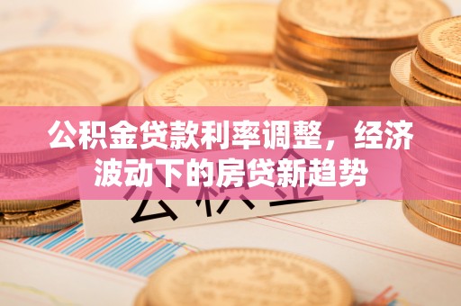 尼勒克公积金贷款利率调整，经济波动下的房贷新趋势