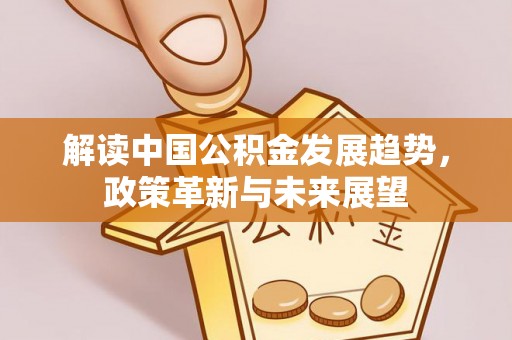 尼勒克解读中国公积金发展趋势，政策革新与未来展望
