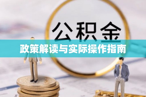 尼勒克政策解读与实际操作指南