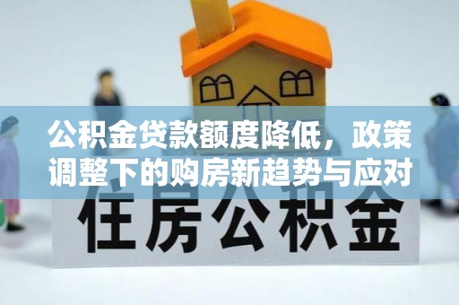 尼勒克公积金贷款额度降低，政策调整下的购房新趋势与应对策略