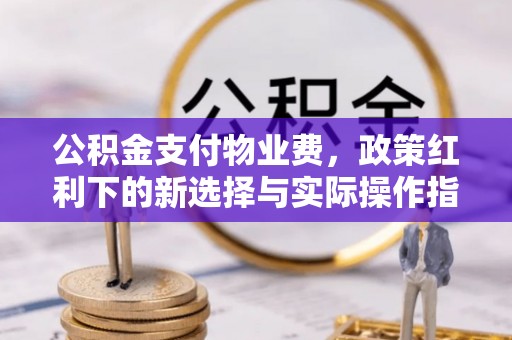 尼勒克公积金支付物业费，政策红利下的新选择与实际操作指南