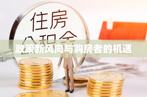 尼勒克政策新风向与购房者的机遇