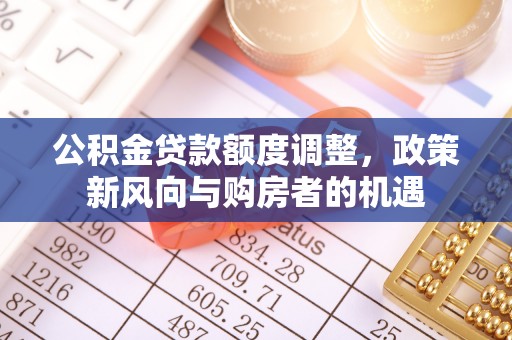 尼勒克公积金贷款额度调整，政策新风向与购房者的机遇