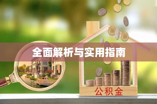 尼勒克全面解析与实用指南