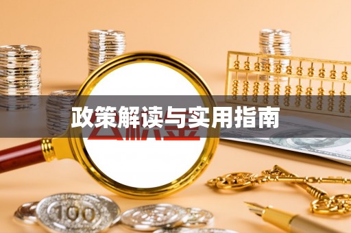 尼勒克政策解读与实用指南