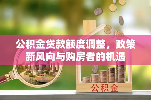 尼勒克公积金贷款额度调整，政策新风向与购房者的机遇