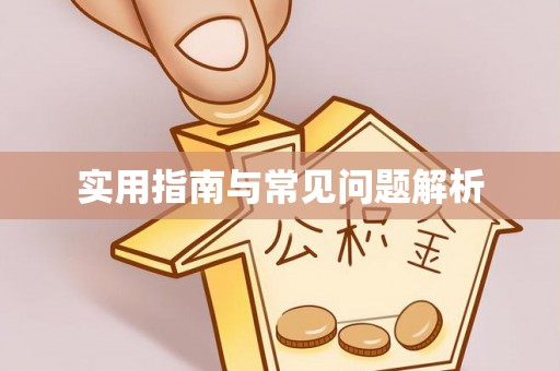 尼勒克实用指南与常见问题解析