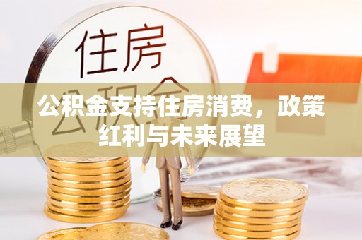 尼勒克公积金支持住房消费，政策红利与未来展望