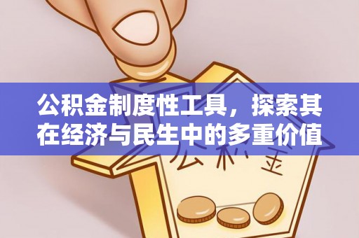 尼勒克公积金制度性工具，探索其在经济与民生中的多重价值