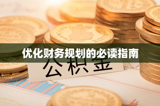 尼勒克优化财务规划的必读指南