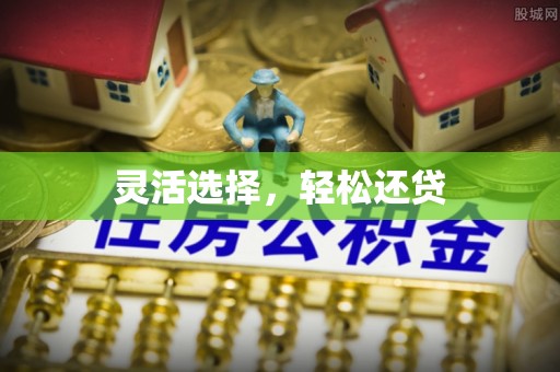 尼勒克灵活选择，轻松还贷