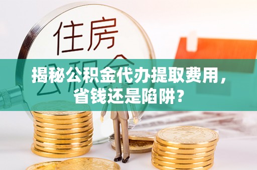尼勒克揭秘公积金代办提取费用，省钱还是陷阱？