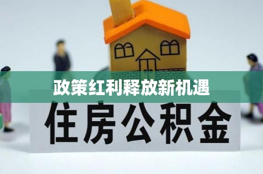 尼勒克政策红利释放新机遇