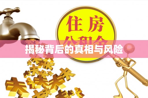 尼勒克揭秘背后的真相与风险