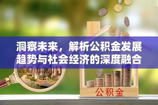尼勒克洞察未来，解析公积金发展趋势与社会经济的深度融合